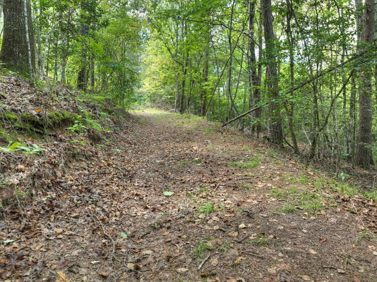 10AC Mt Pleasant/bell Lane