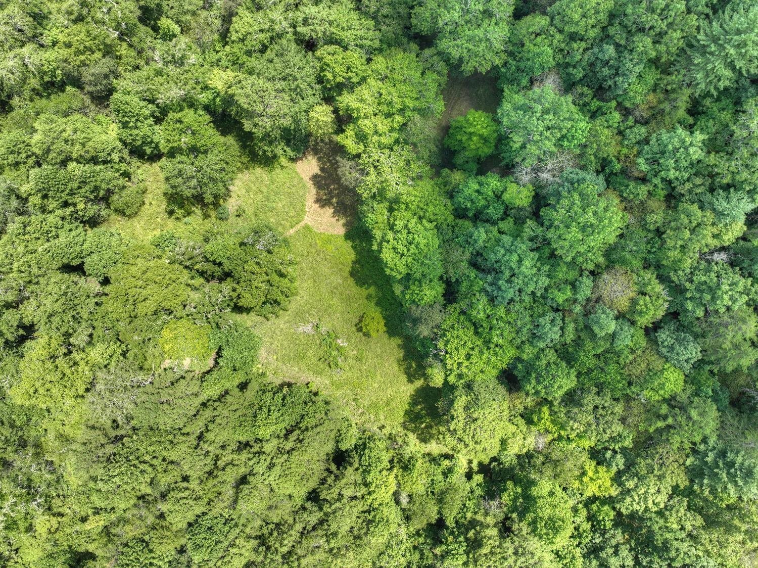 10AC Mt Pleasant/bell Lane