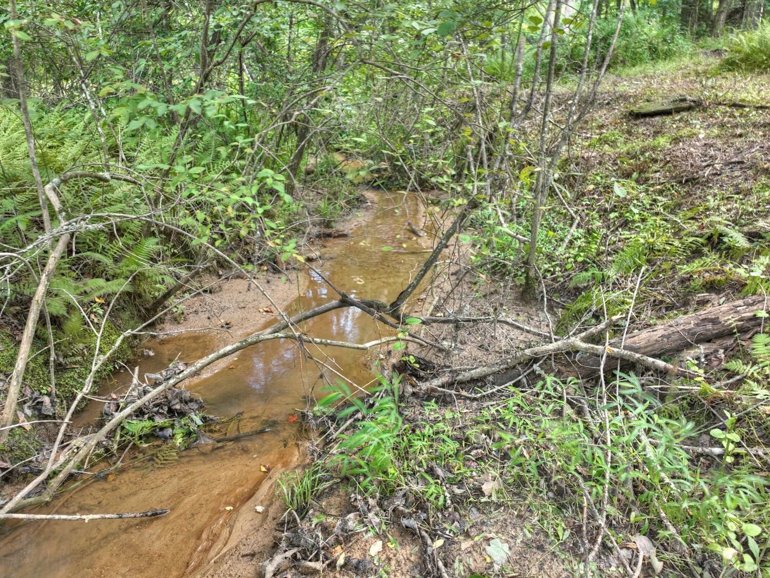 10AC Mt Pleasant/bell Lane