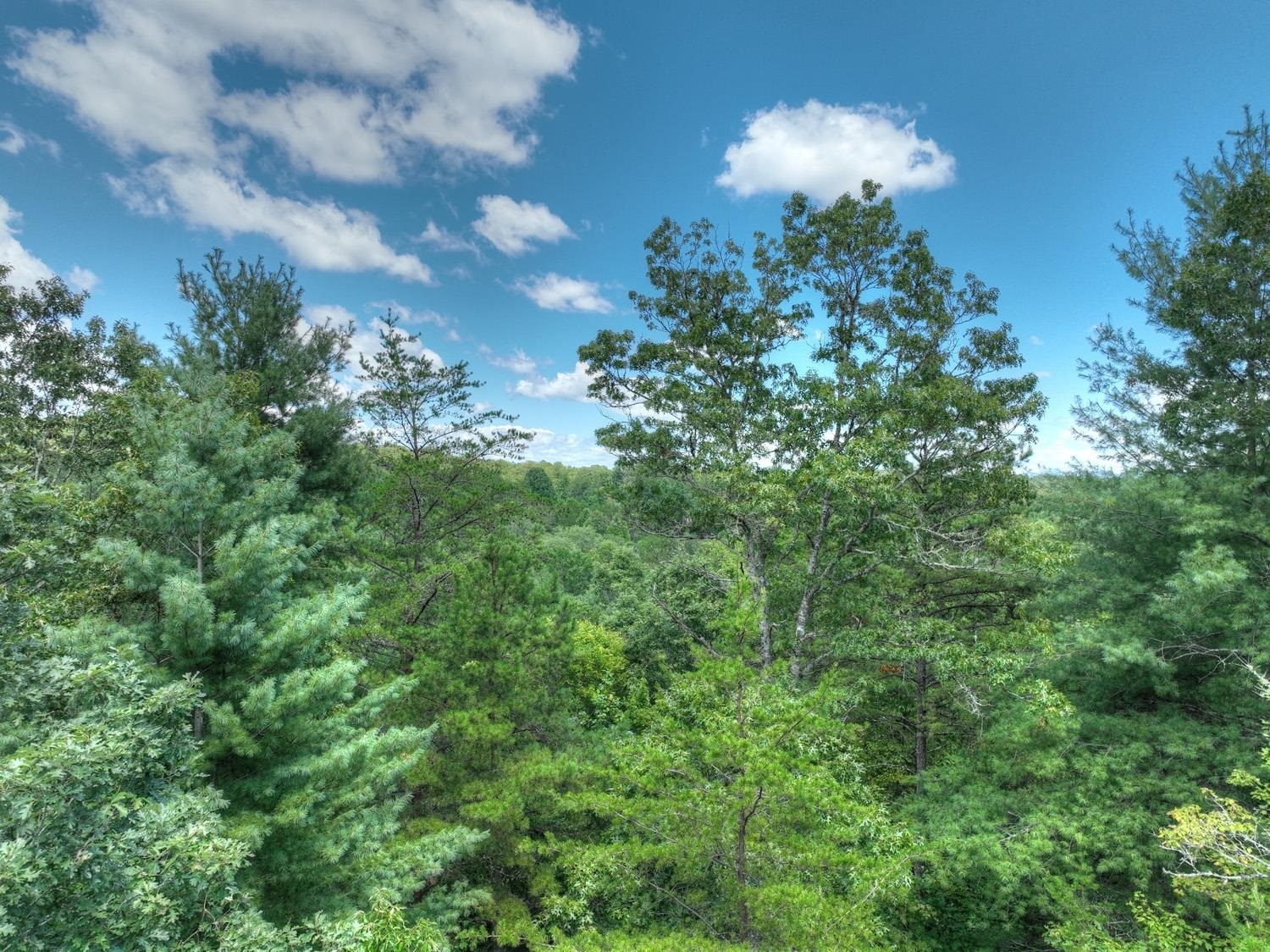 10AC Mt Pleasant/bell Lane