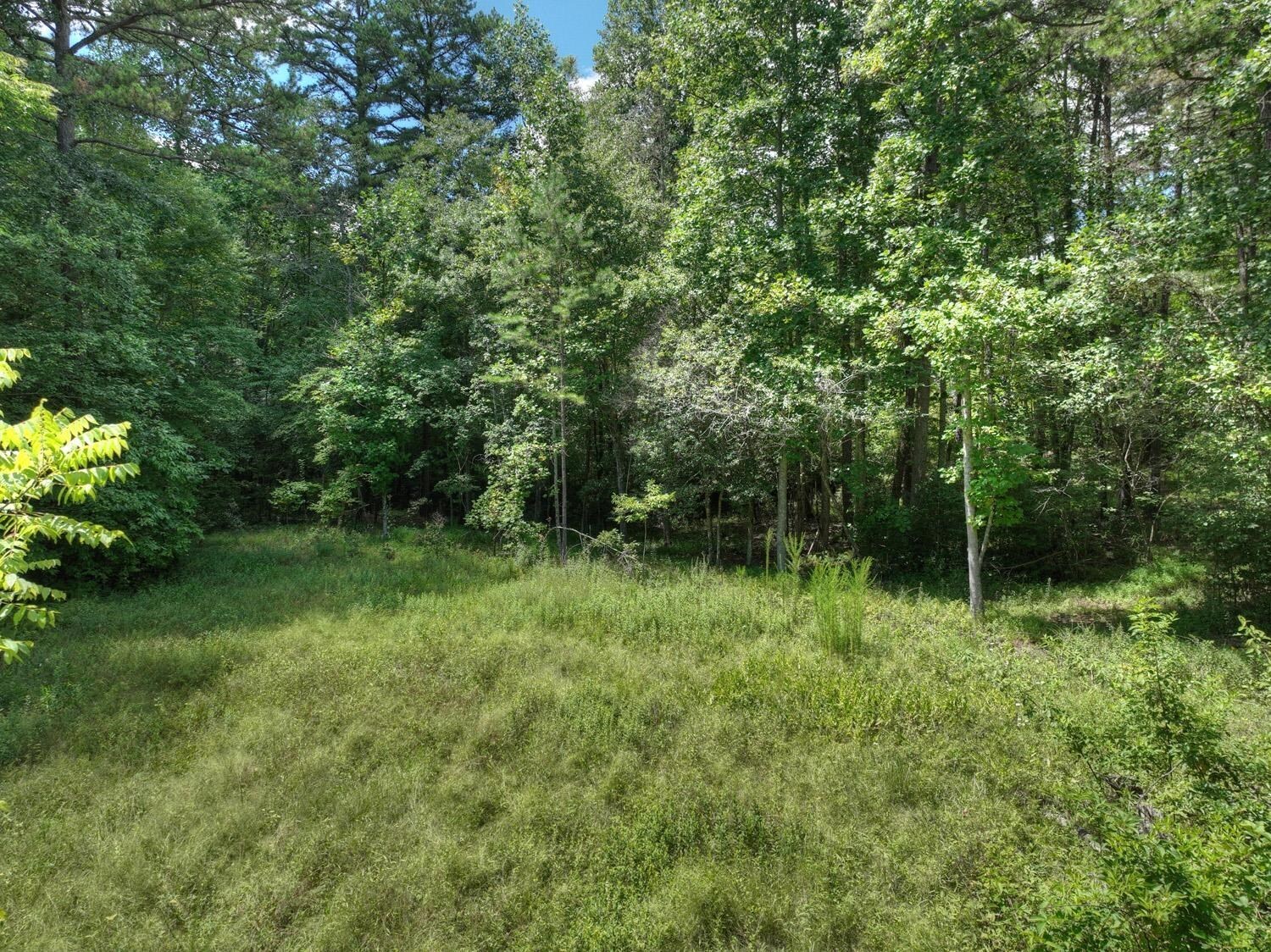10AC Mt Pleasant/bell Lane