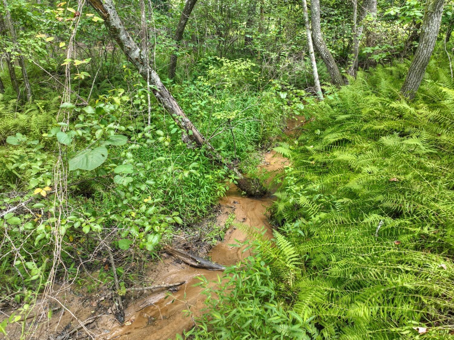 10AC Mt Pleasant/bell Lane