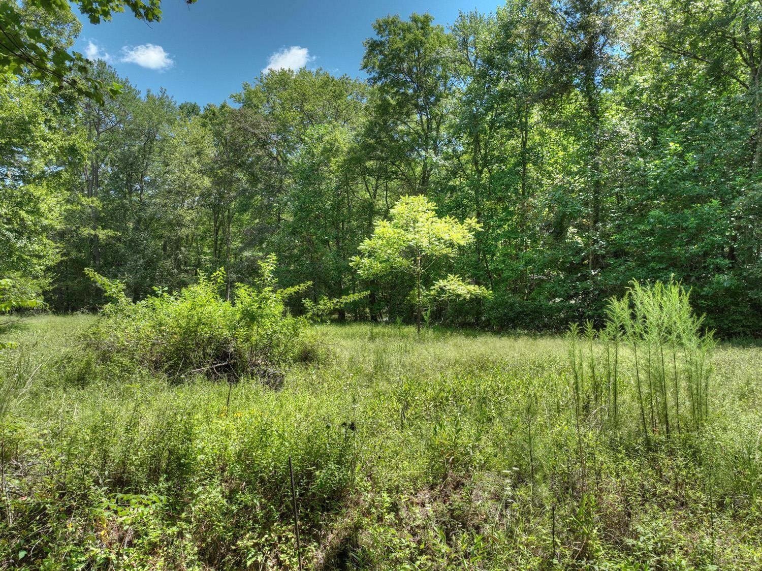 10AC Mt Pleasant/bell Lane