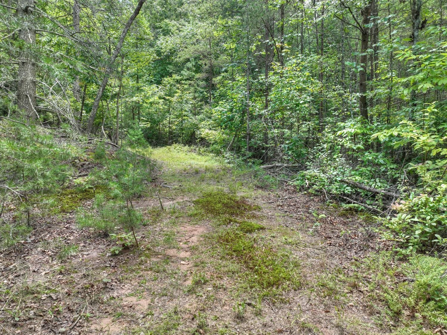 10AC Mt Pleasant/bell Lane