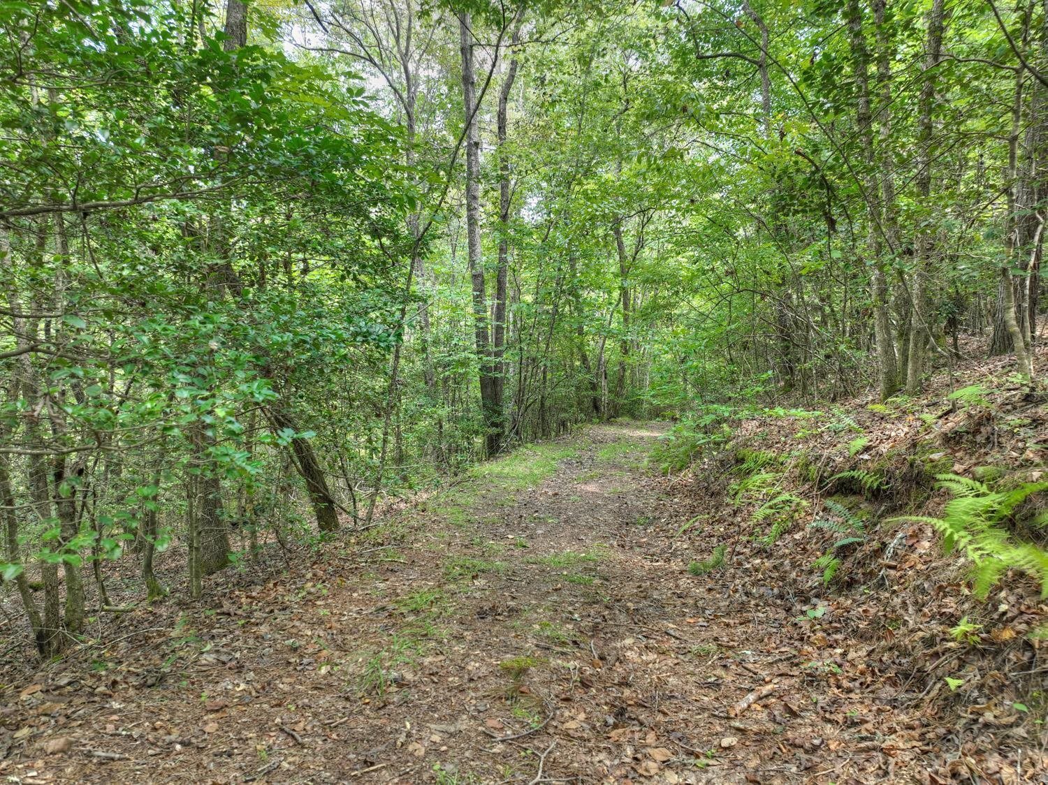 10AC Mt Pleasant/bell Lane