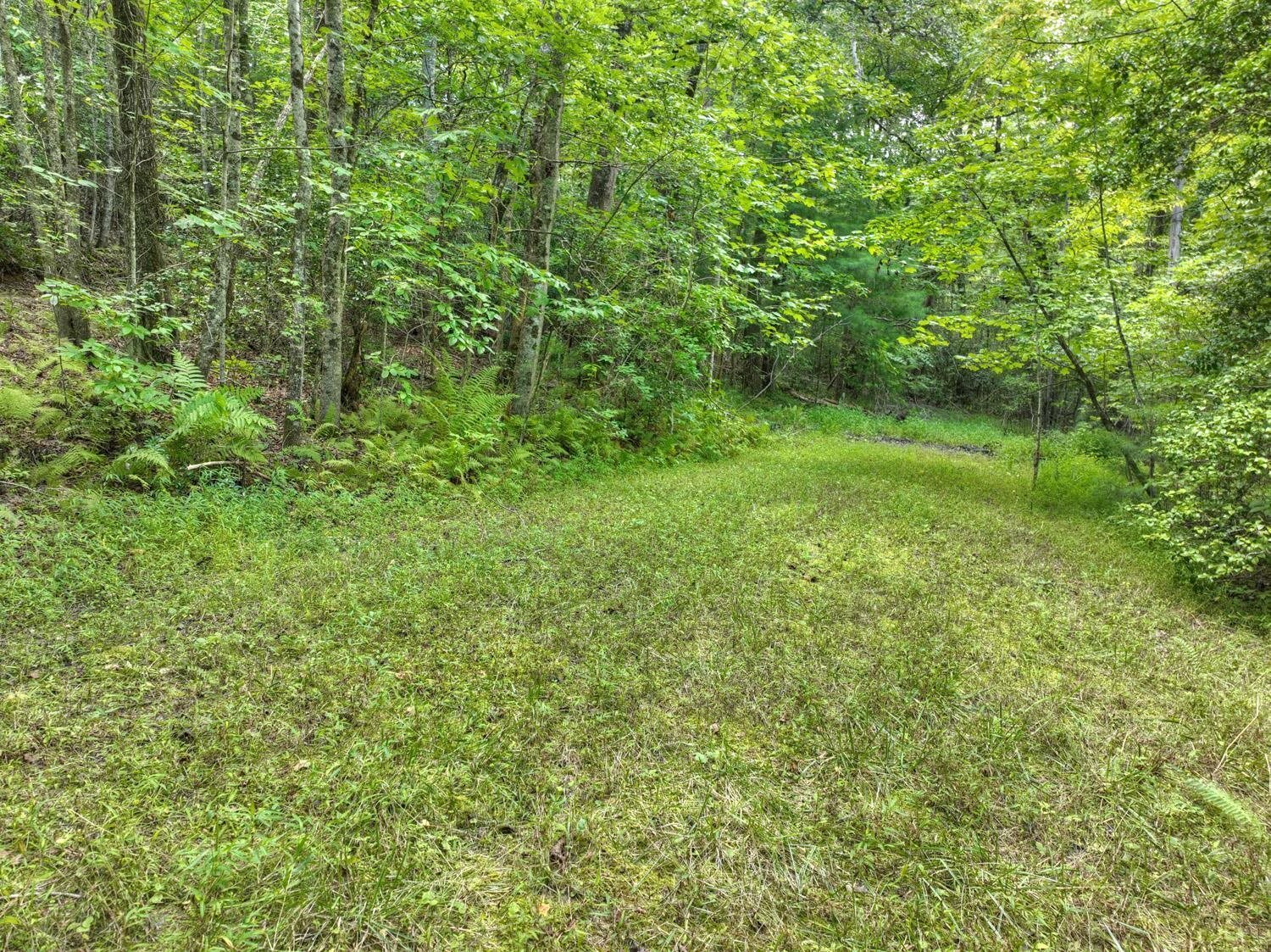 10AC Mt Pleasant/bell Lane