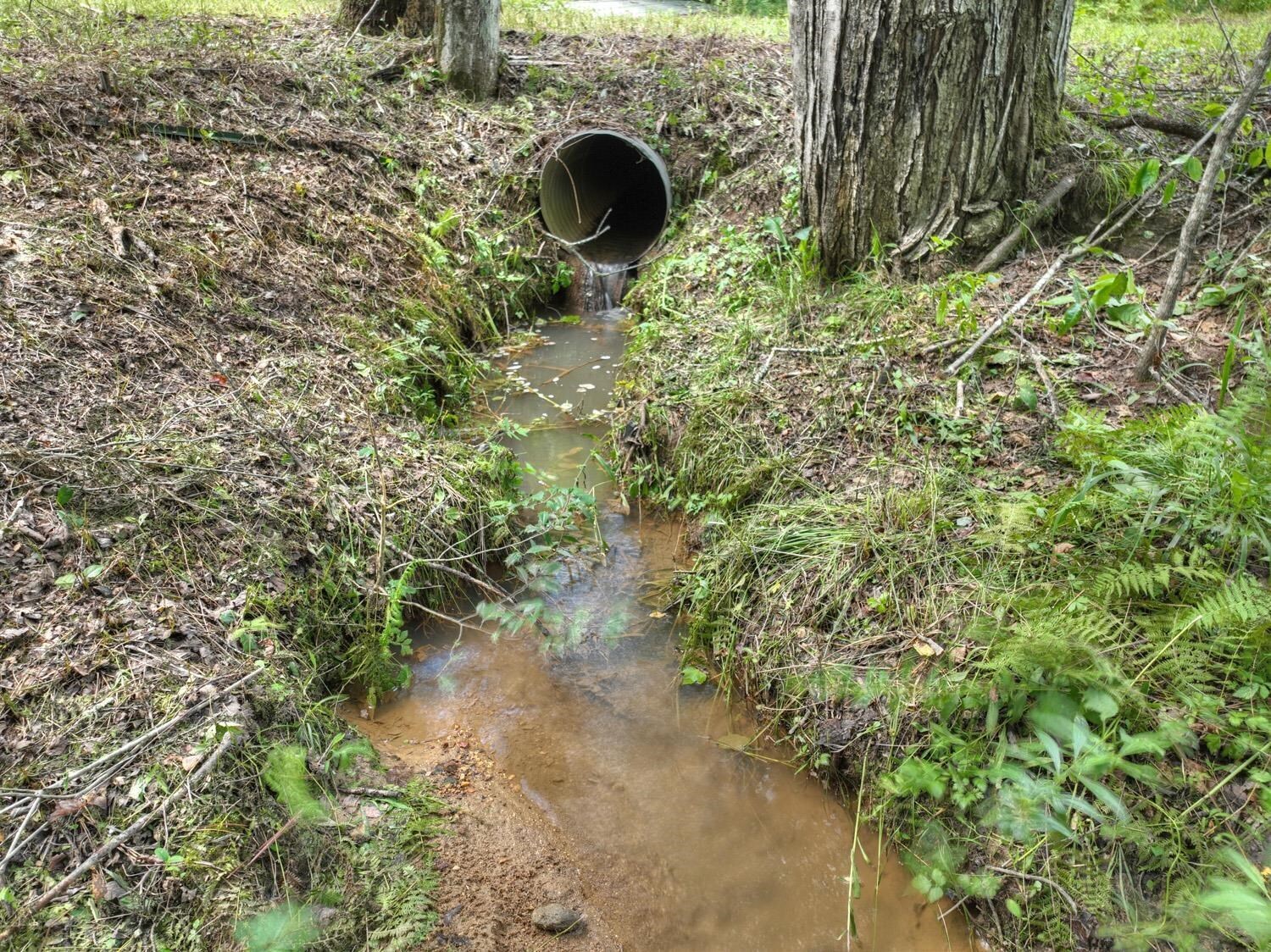 10AC Mt Pleasant/bell Lane