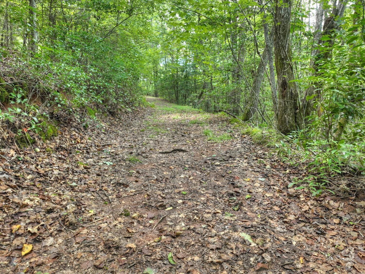 10AC Mt Pleasant/bell Lane