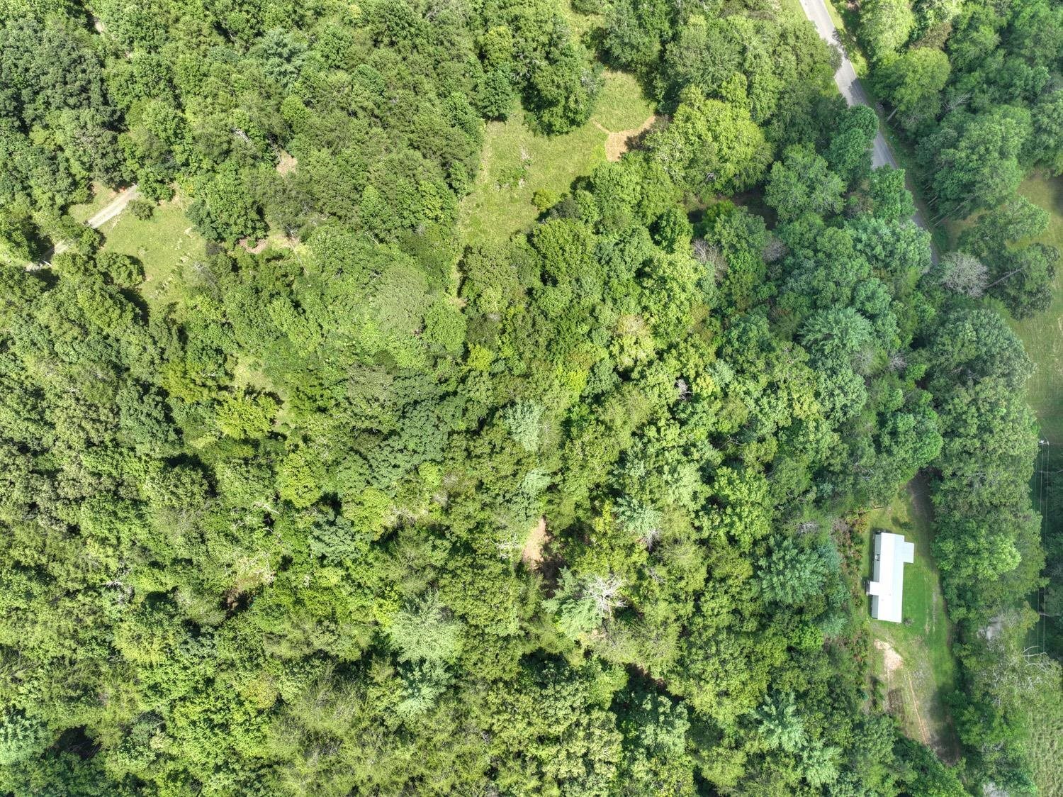 10AC Mt Pleasant/bell Lane