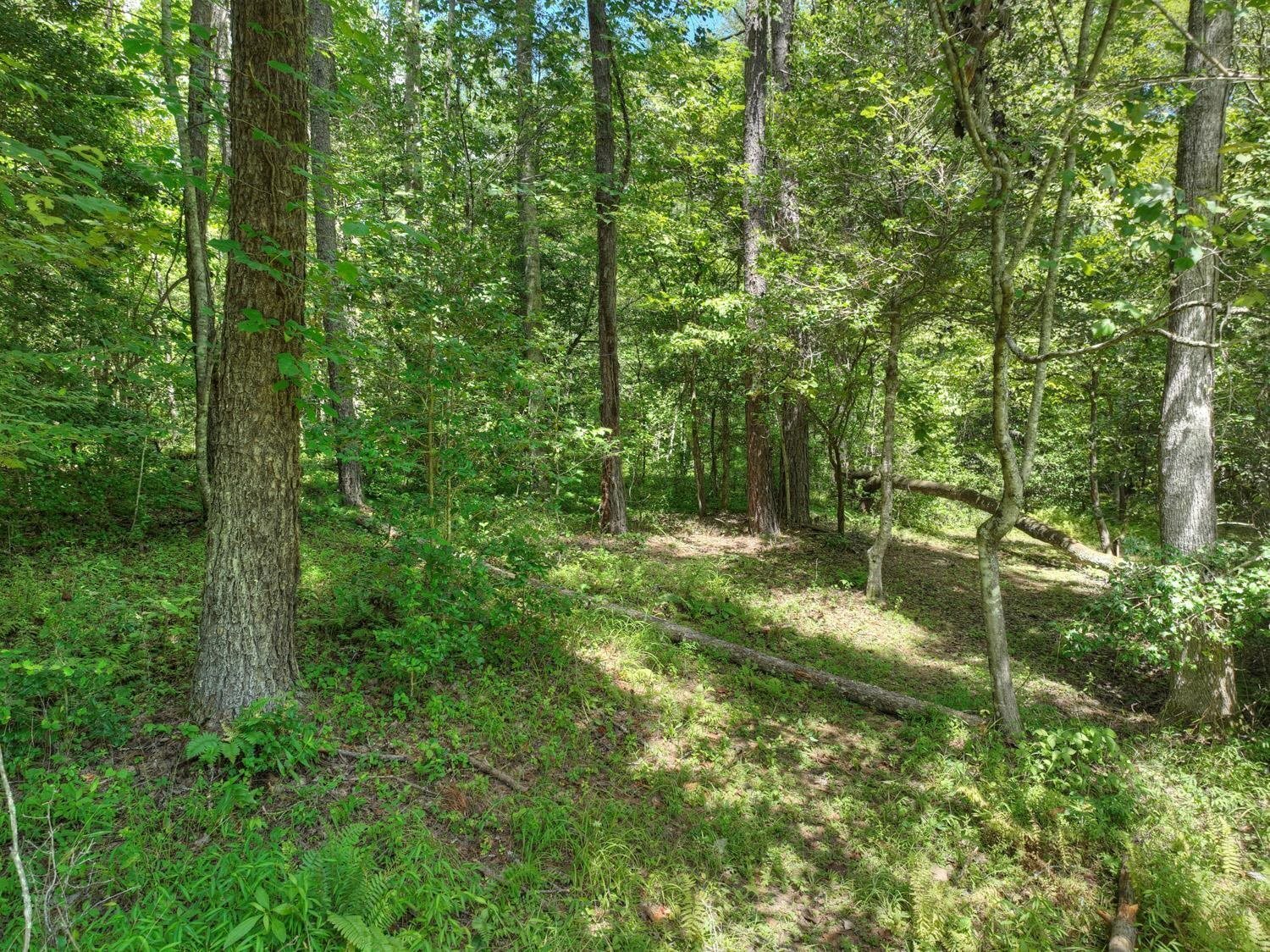 10AC Mt Pleasant/bell Lane