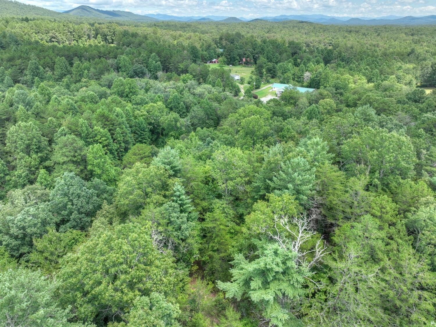 10AC Mt Pleasant/bell Lane