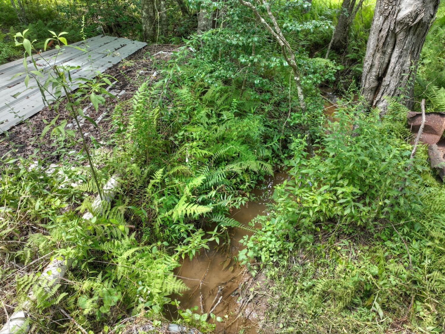 10AC Mt Pleasant/bell Lane