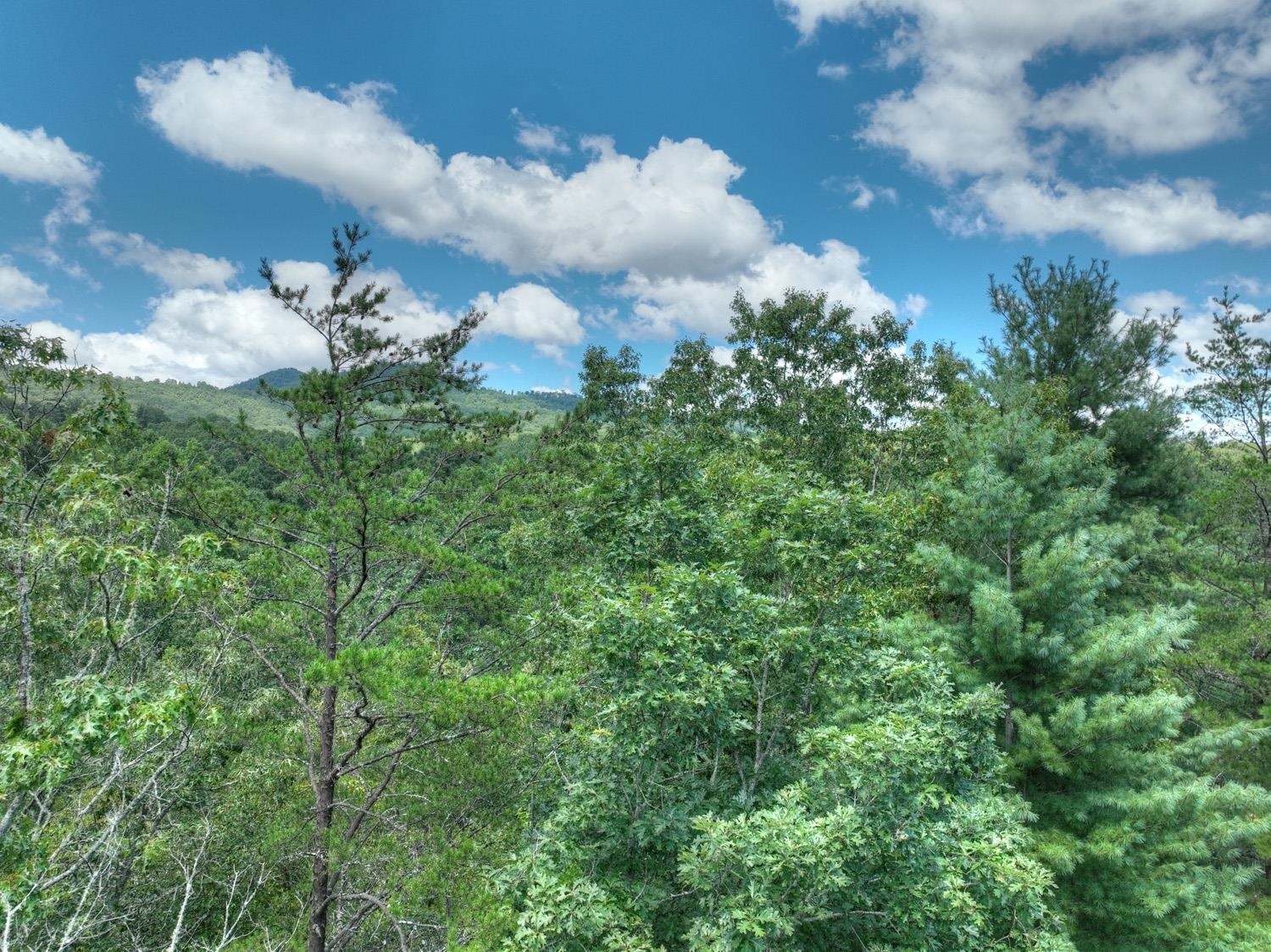 10AC Mt Pleasant/bell Lane