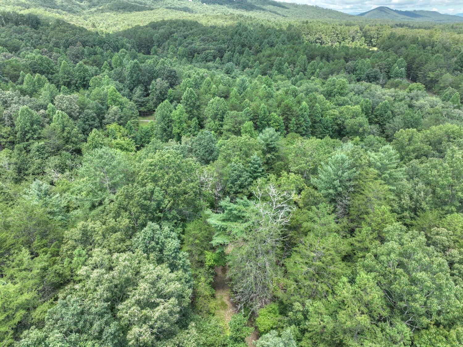 10AC Mt Pleasant/bell Lane