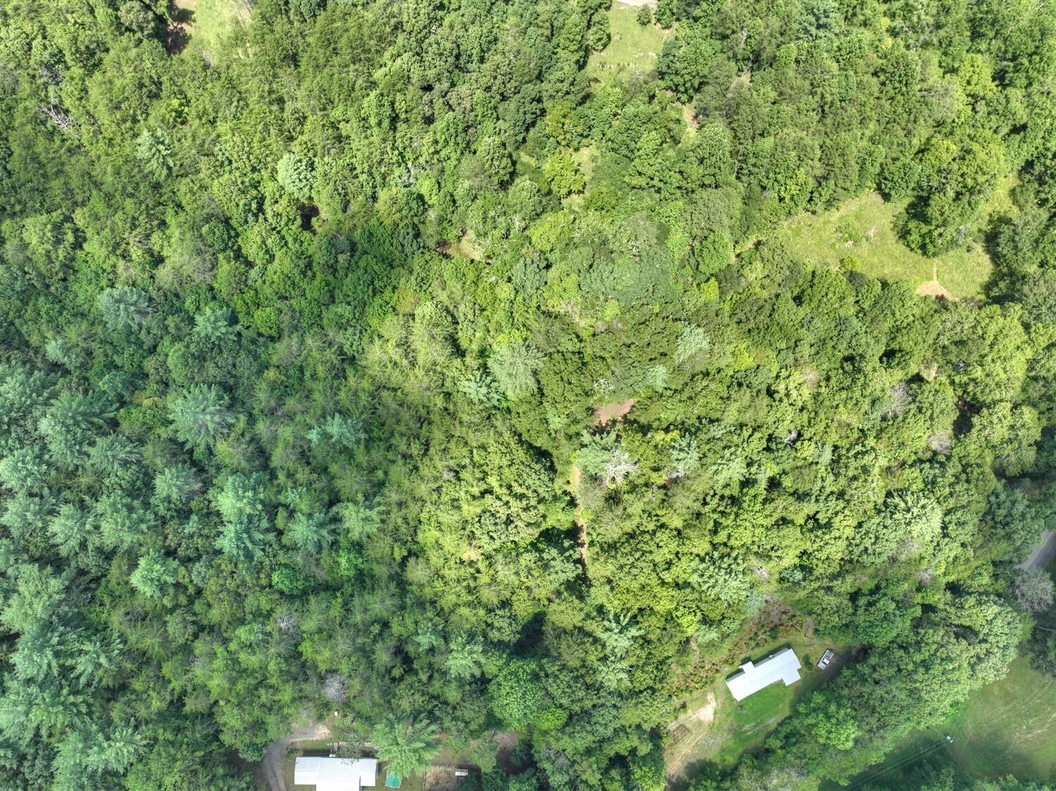 10AC Mt Pleasant/bell Lane