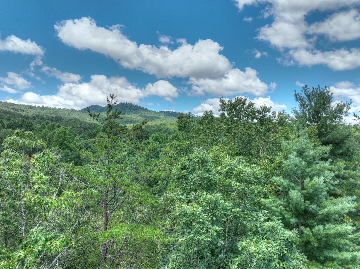 10AC Mt Pleasant/bell Lane