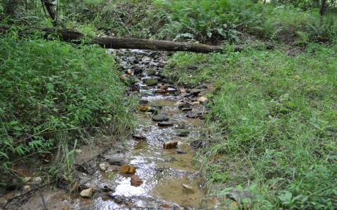 1.34 Williamstown Road