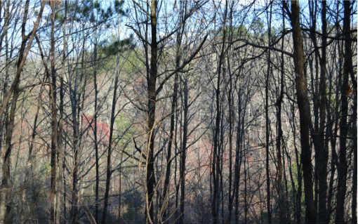 102 Hideaway Overlook