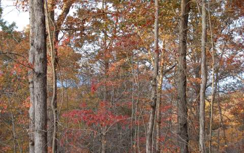 LT 10 Hideaway Falls