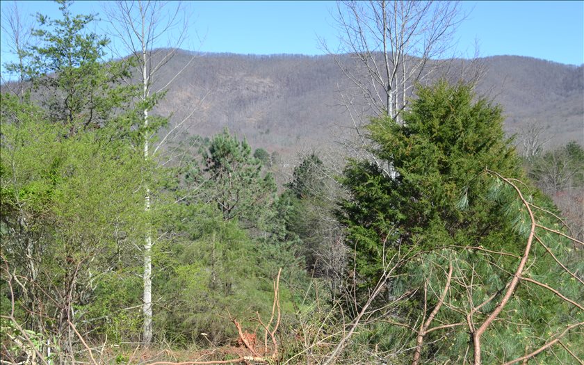 359 Mccallister Road