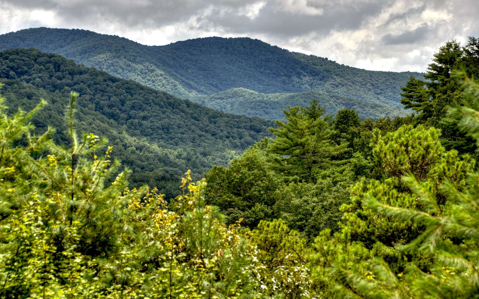 71 Tall Timber Mountain Way