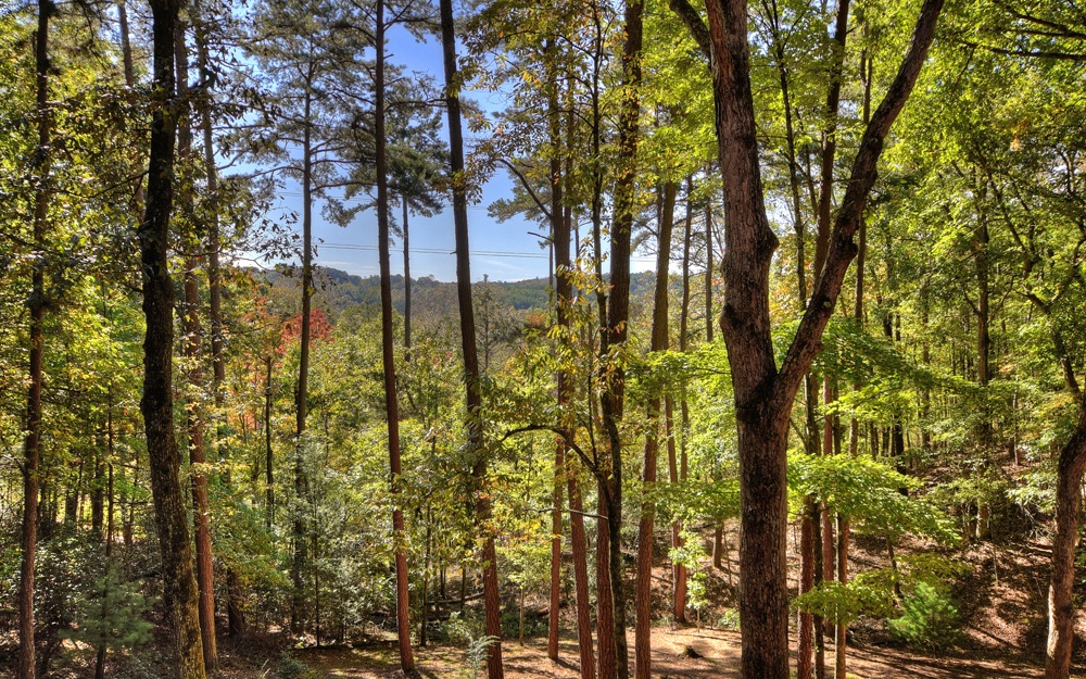 80 Blackberry Lane N