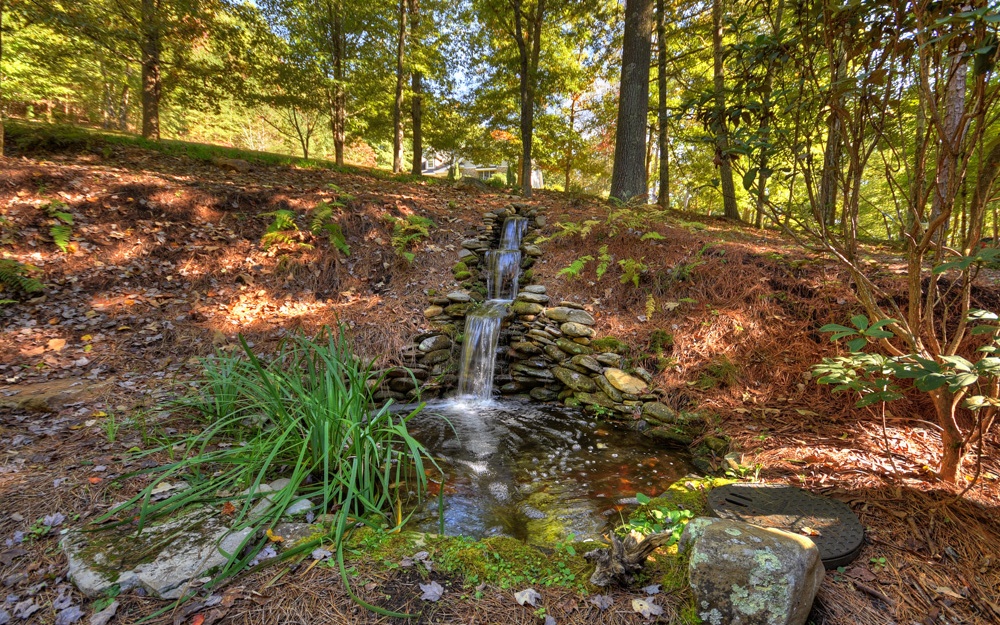 80 Blackberry Lane N