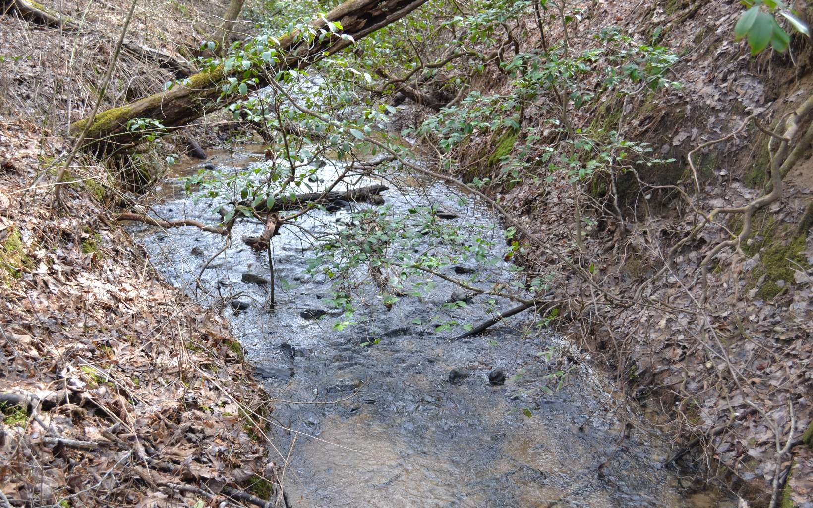 Sassafras Ridge Road