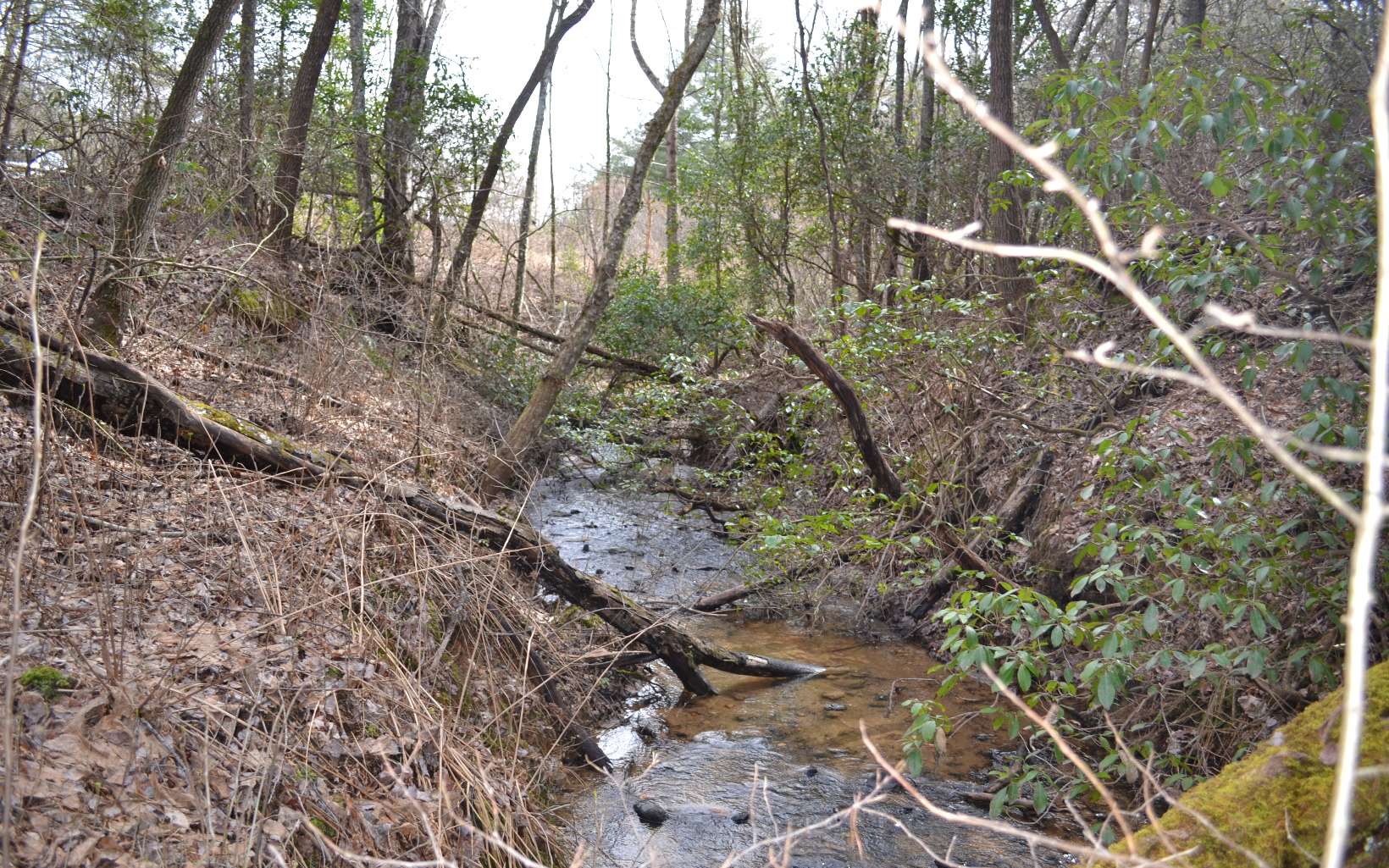 Sassafras Ridge Road