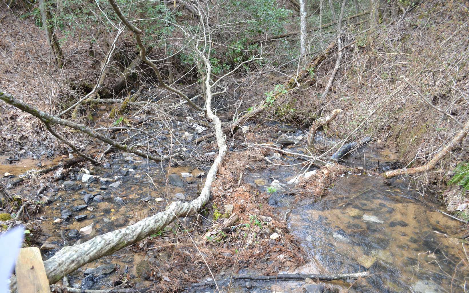 Sassafras Ridge Road