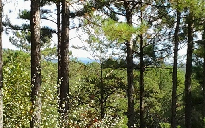 148 Highland Woods Road