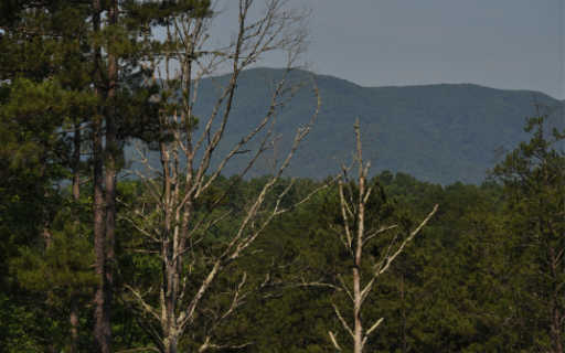 207 Austin Mountain Road