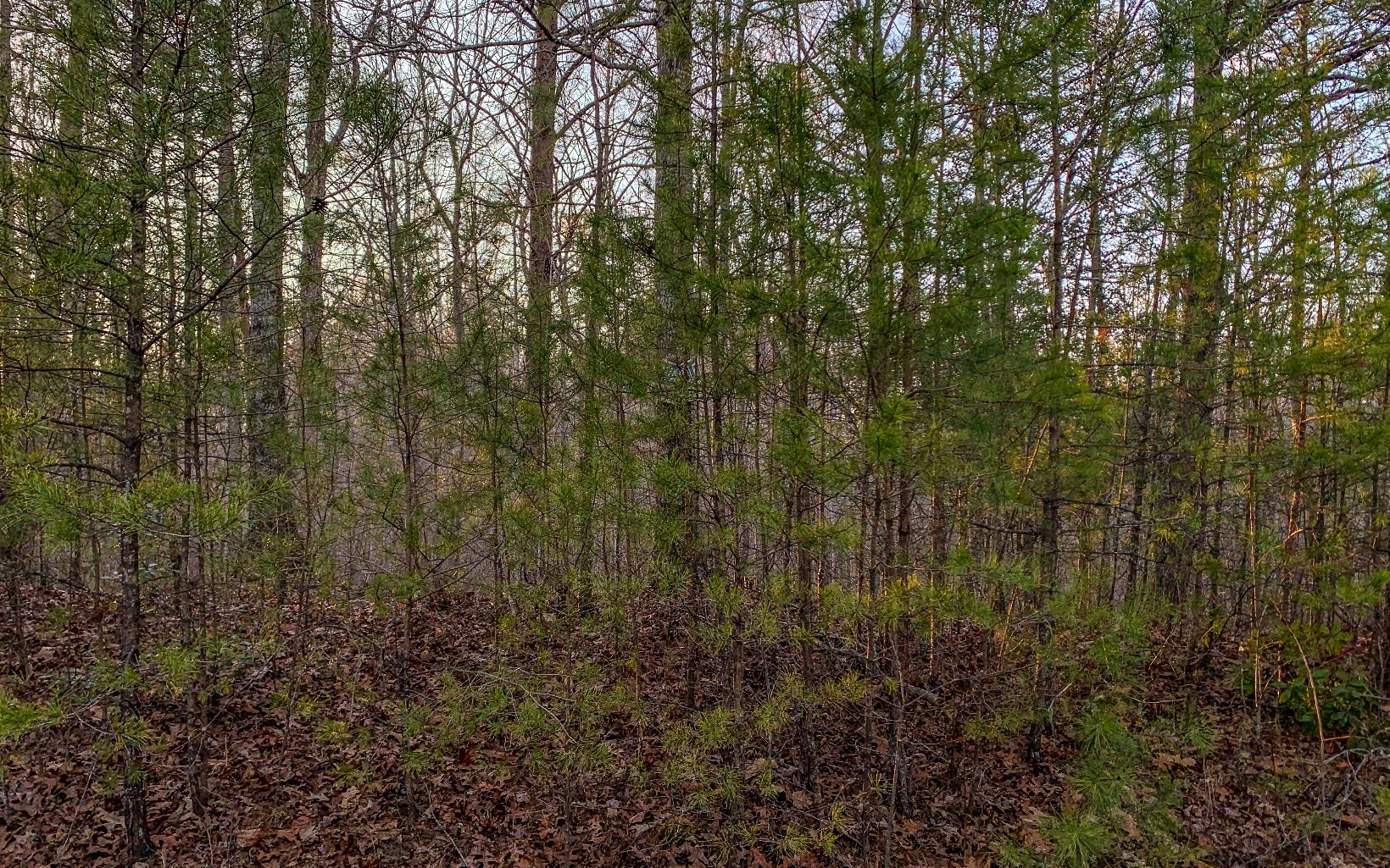 LT 38 Hidden Valley Lake Drive