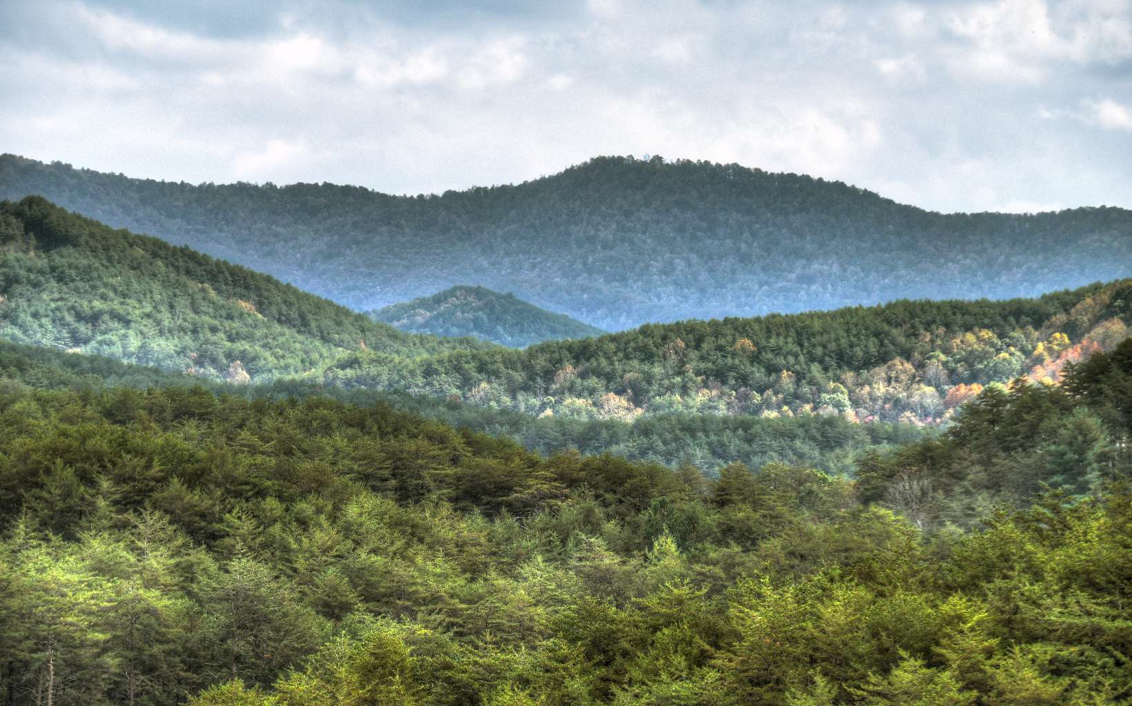 137 Golden Eagle Circle