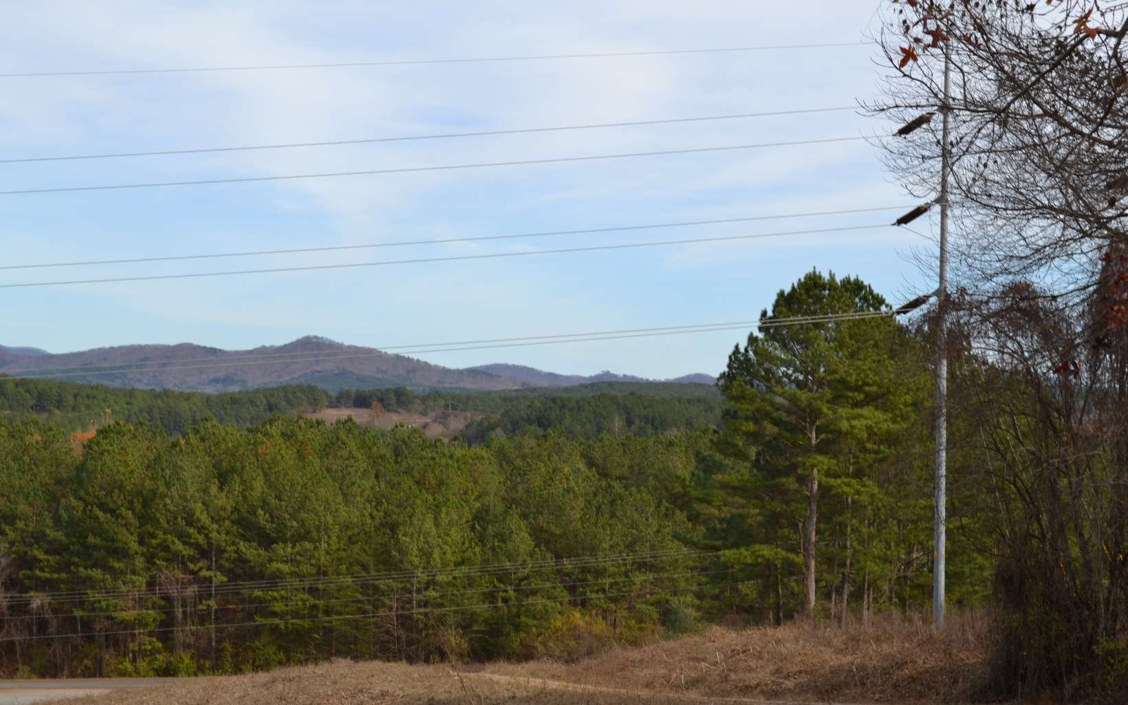 25ACS Staffordtown Road