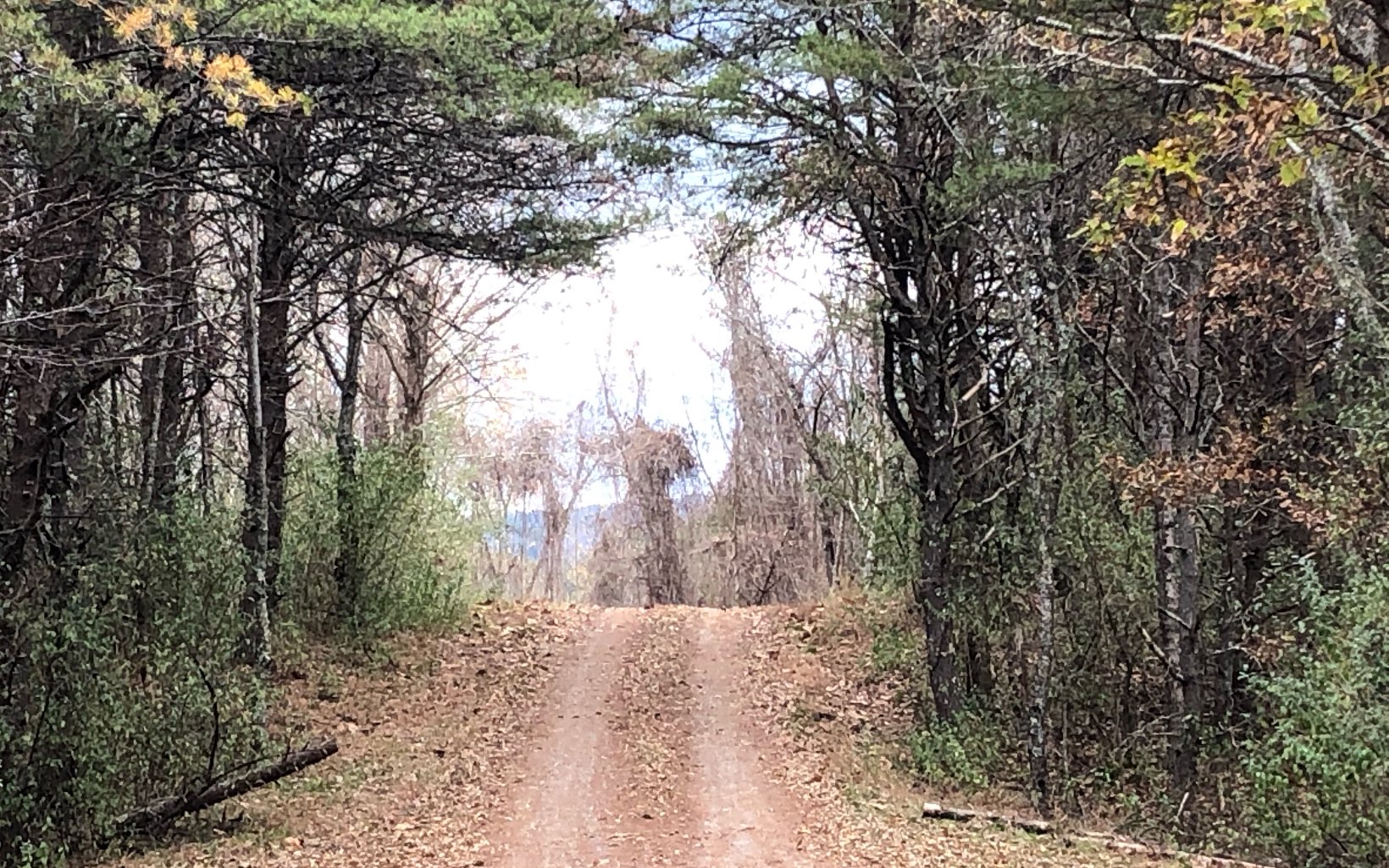 25ACS Staffordtown Road