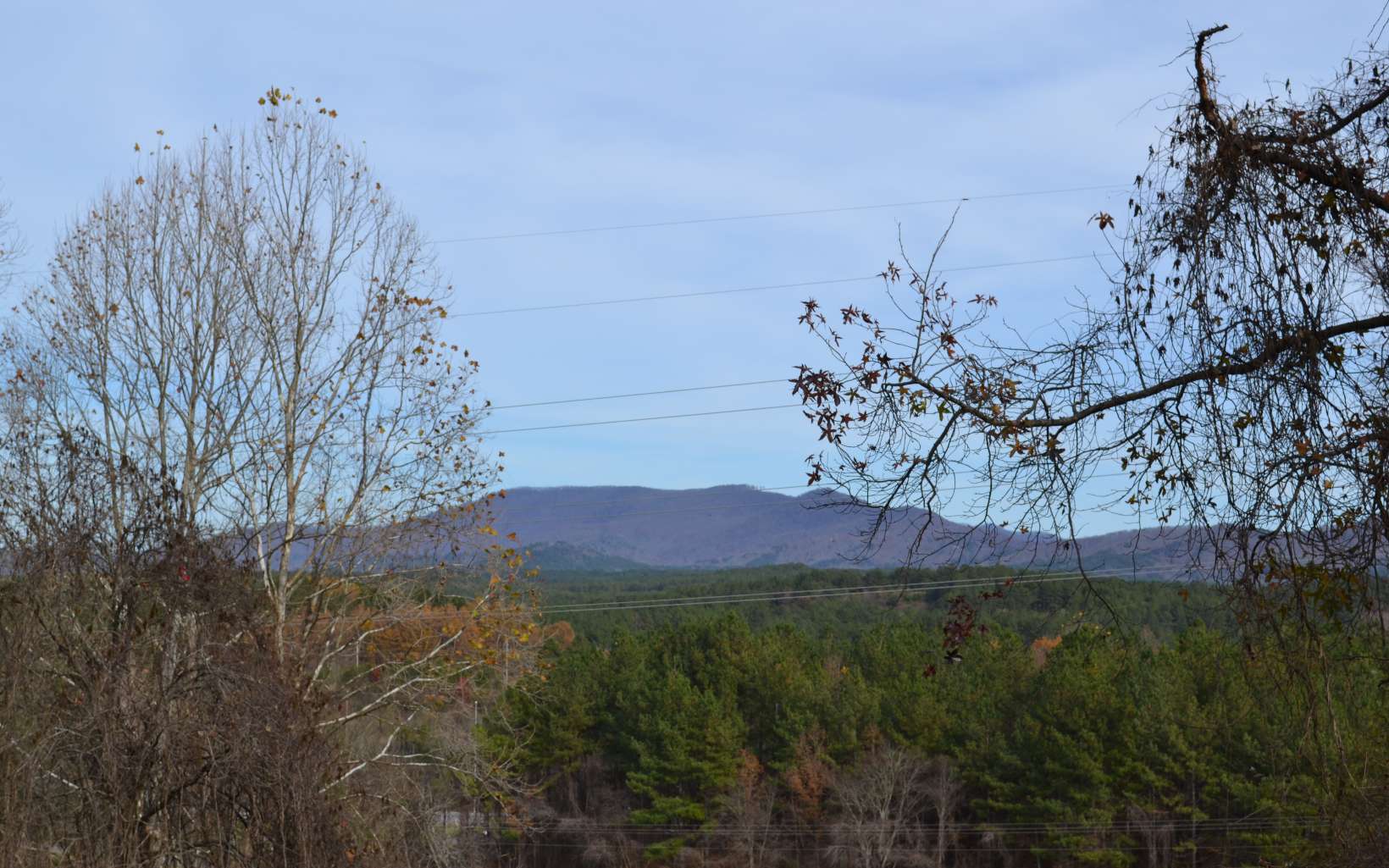 281 River Overlook Drive