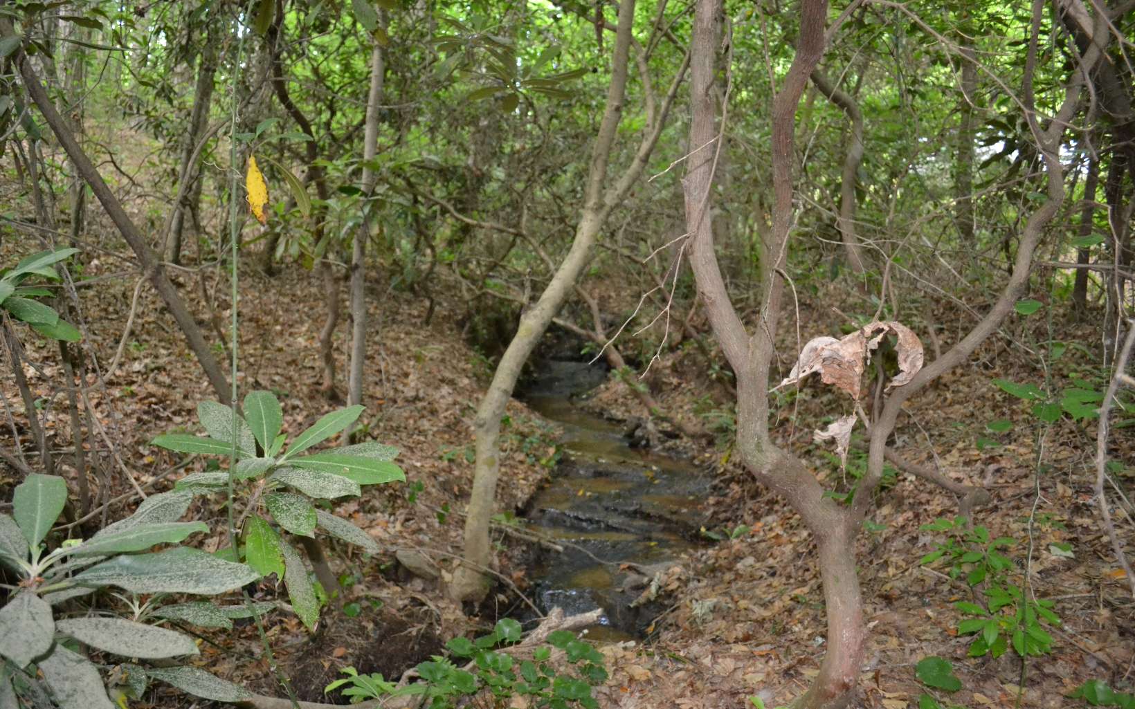 186 Austin Mountain Road