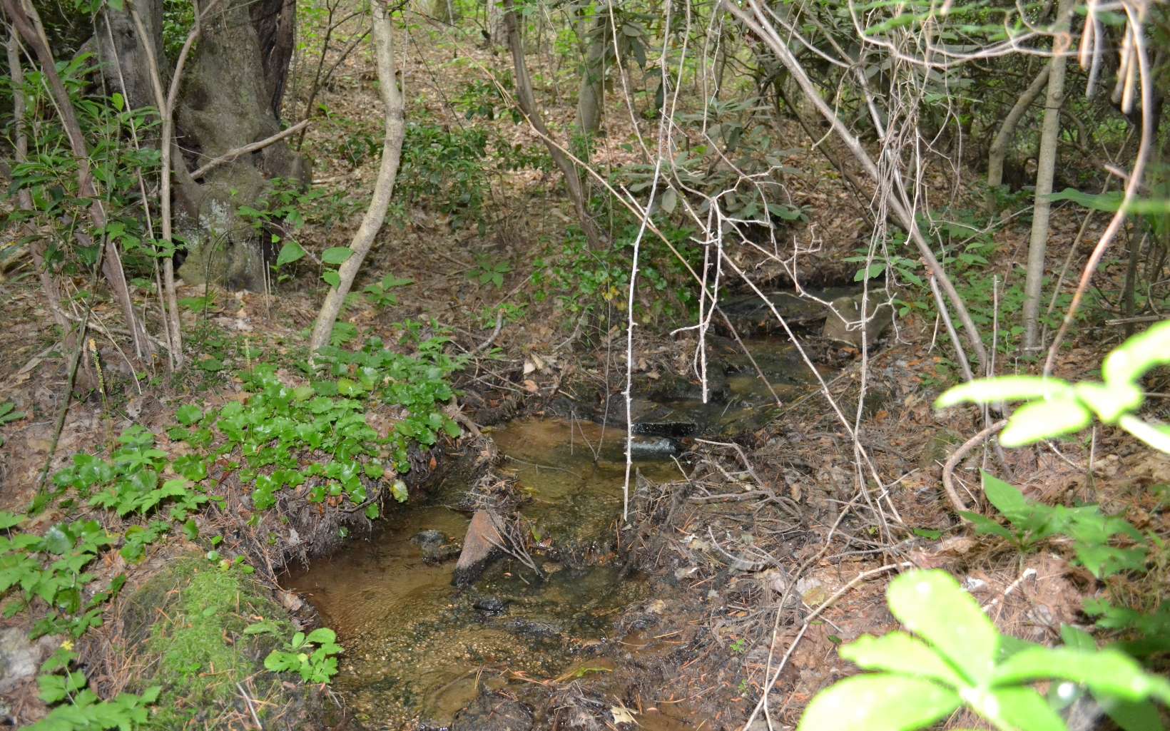 186 Austin Mountain Road