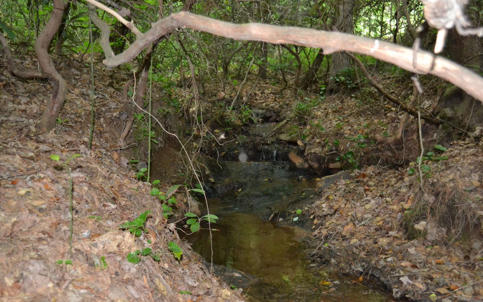 186 Austin Mountain Road