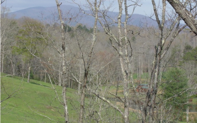 196 Austin Mountain Road