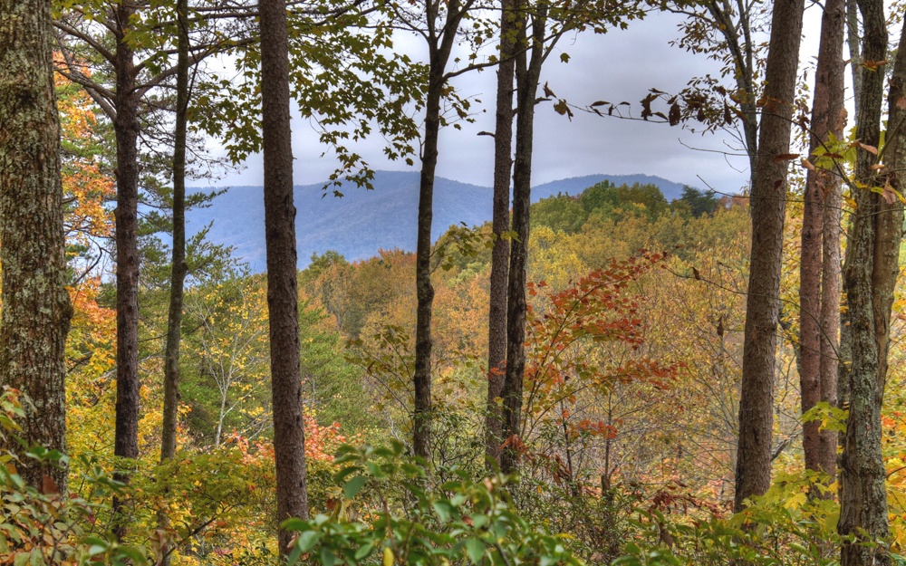 152 Broken Arrow Path