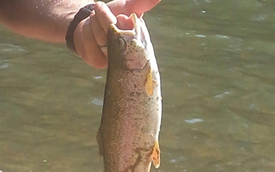 1885 Grassy Creek Road