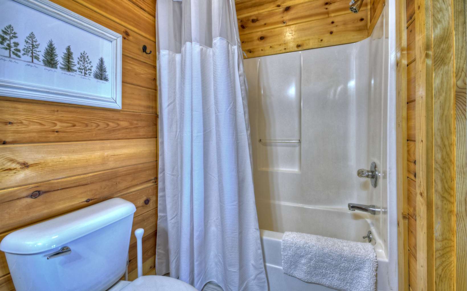 266 Necowa Cove Overlook