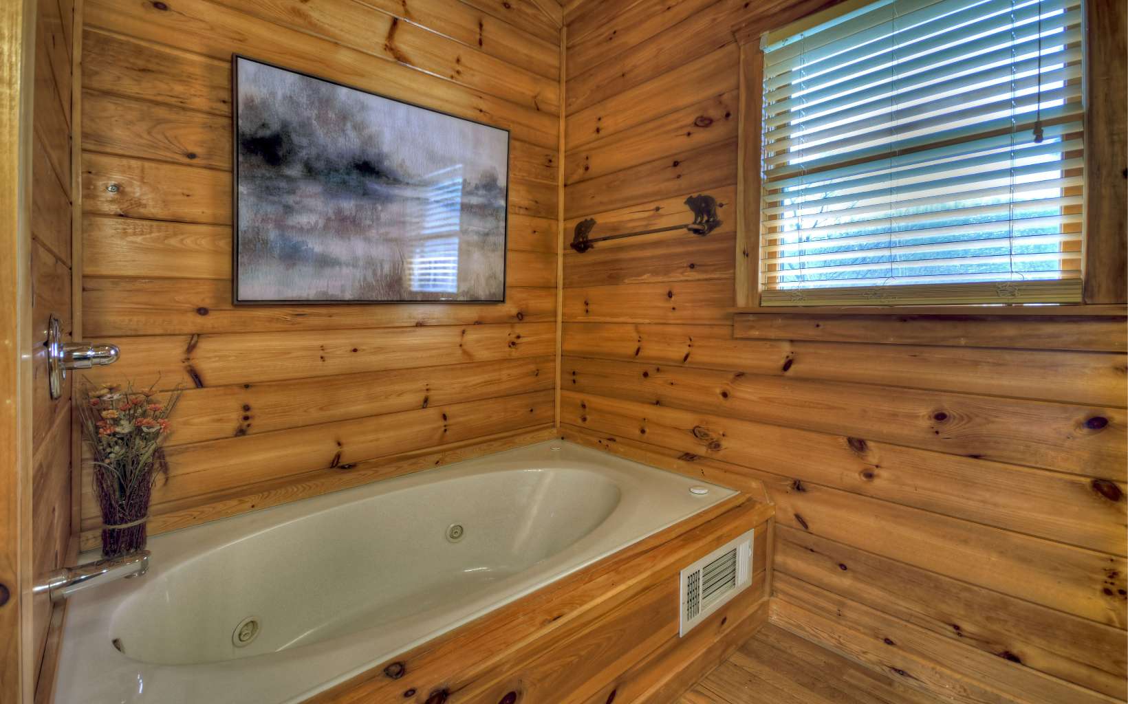 266 Necowa Cove Overlook