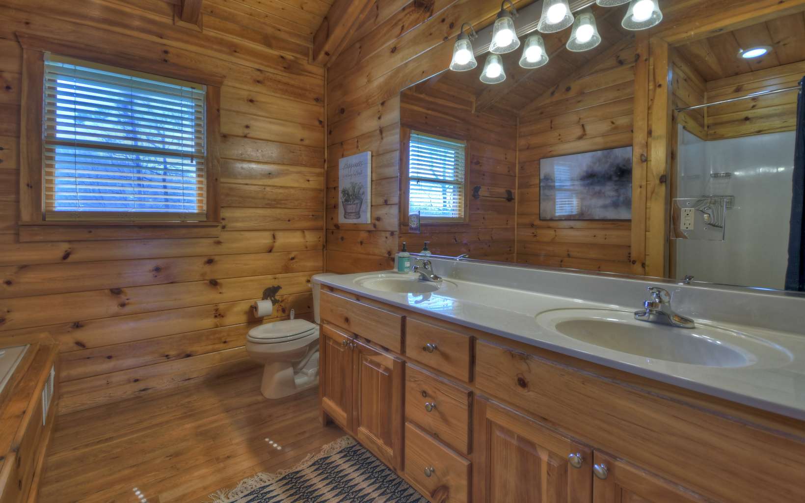 266 Necowa Cove Overlook