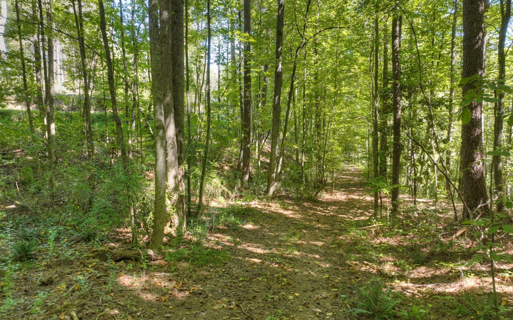 13.32 Old Tails Creek Road