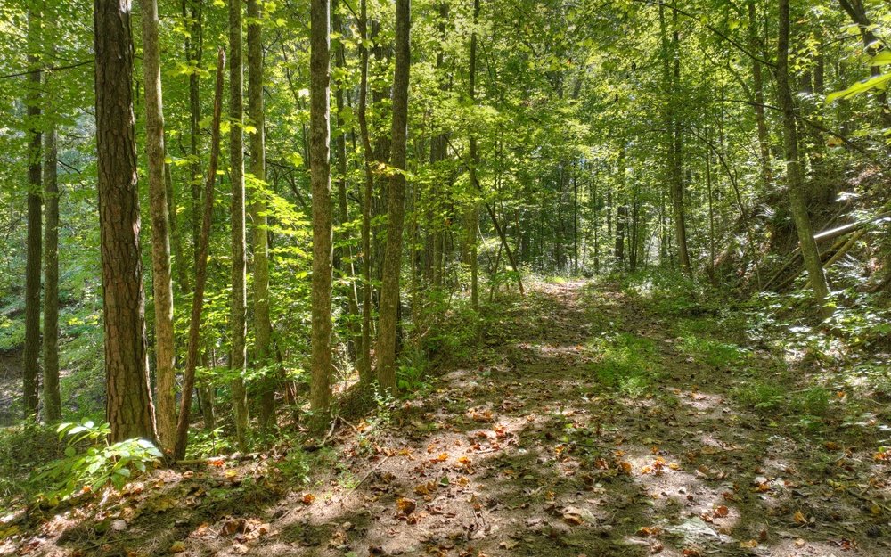 13.32 Old Tails Creek Road