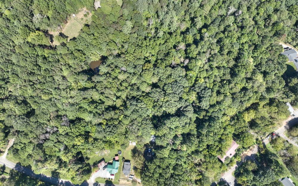 13.32 Old Tails Creek Road