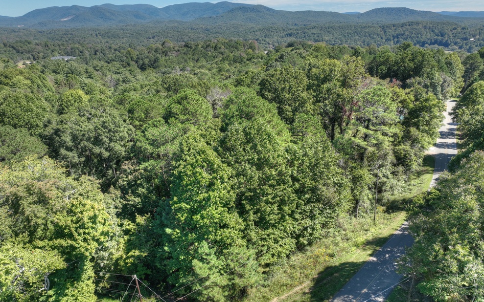 13.32 Old Tails Creek Road